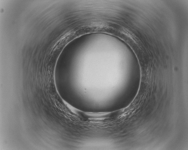 X0000059240967200510171427