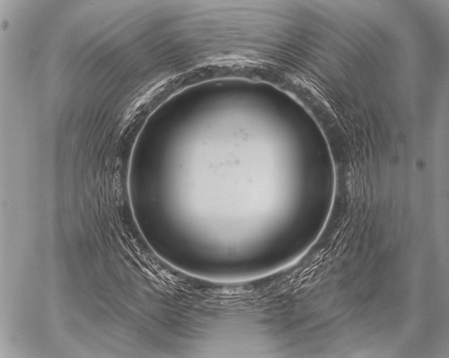 X0000059240968200510171427