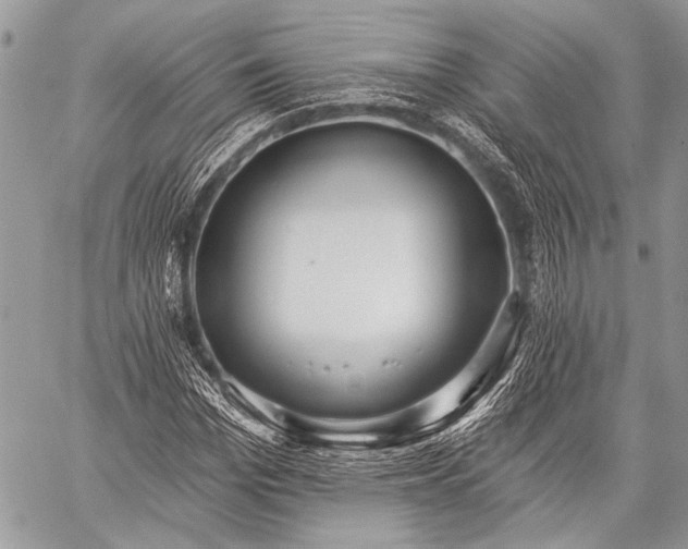 X0000059240969200510171427