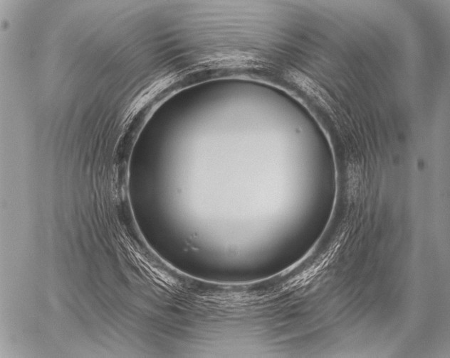 X0000059240970200510171427