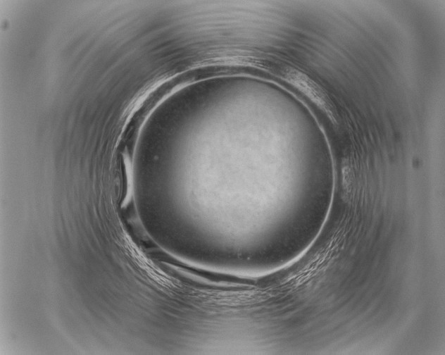 X0000059240972200510171427