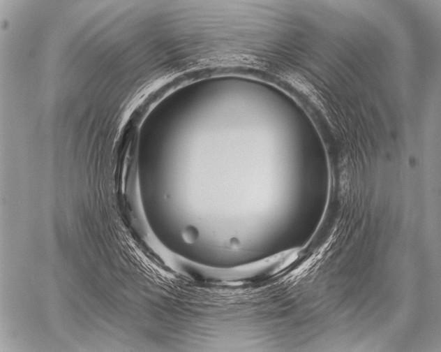 X0000059240973200510171427