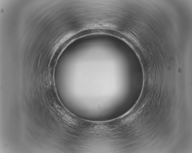 X0000059240974200510171427