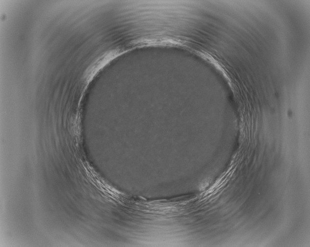 X0000059240975200510171427