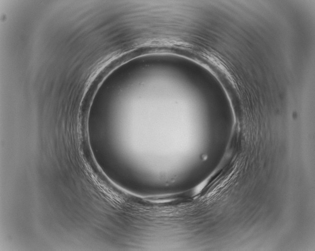 X0000059240976200510171427