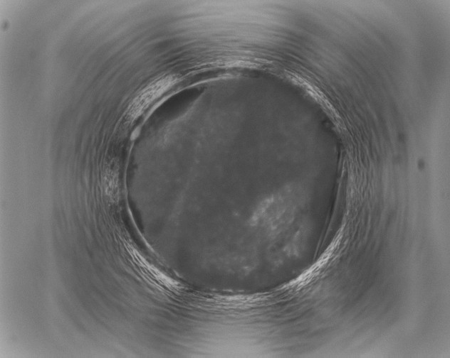 X0000059240977200510171427