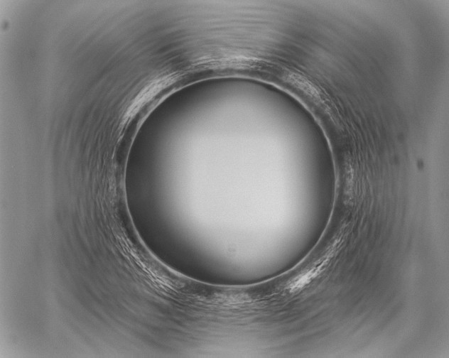 X0000059240978200510171427