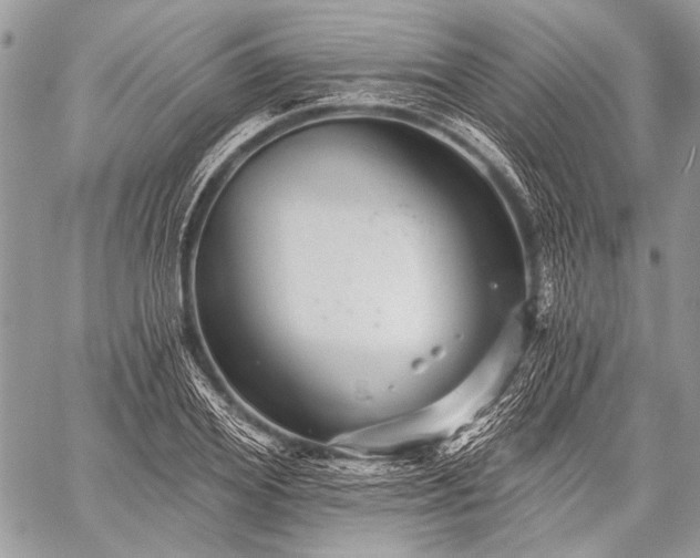 X0000059240980200510171427