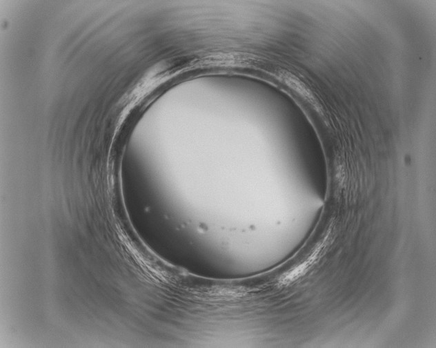 X0000059240981200510171427