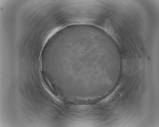 X0000059240982200510171427