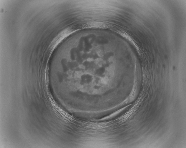 X0000059240983200510171427