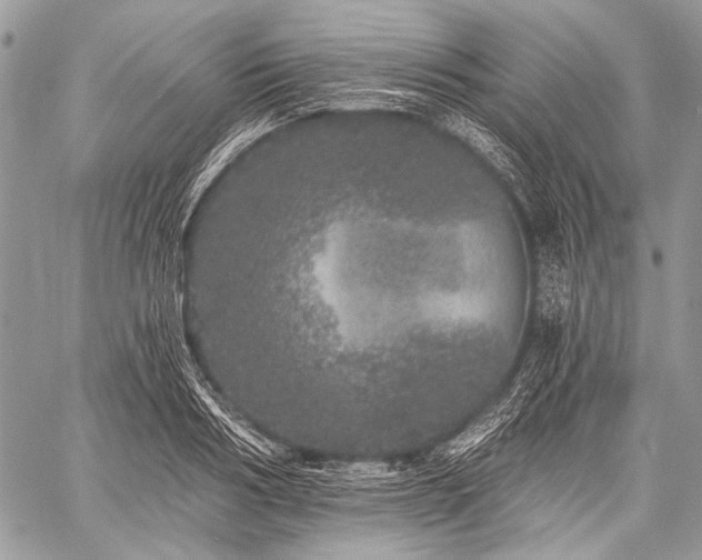 X0000059240986200510171427