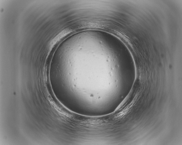 X0000059240987200510171426