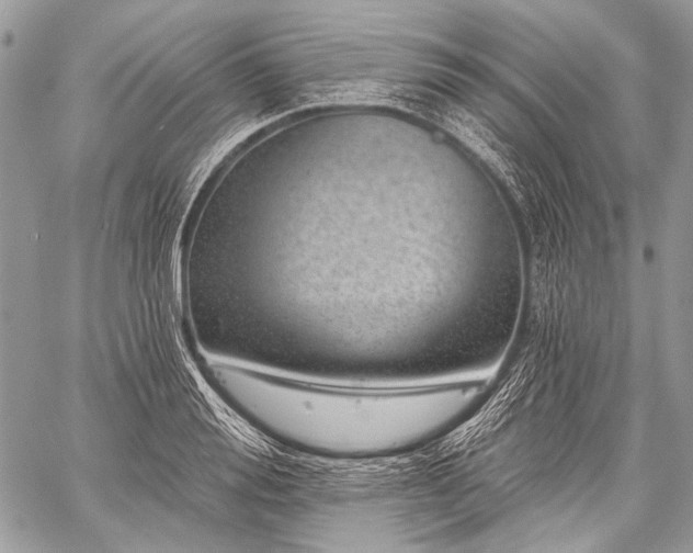 X0000059240988200510171426