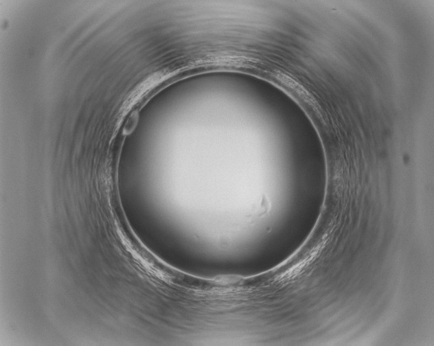 X0000059240989200510171426