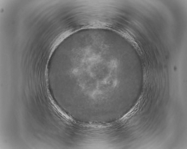 X0000059240990200510171426