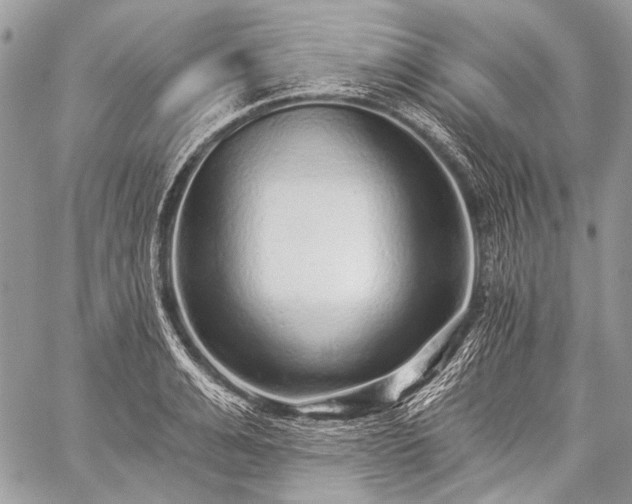 X0000059240991200510171426