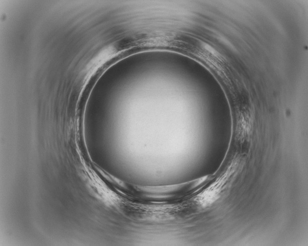 X0000059240992200510171426