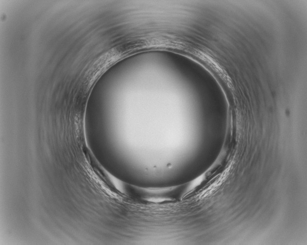 X0000059240993200510171426