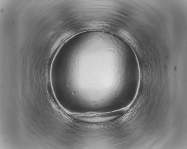 X0000059240994200510171426