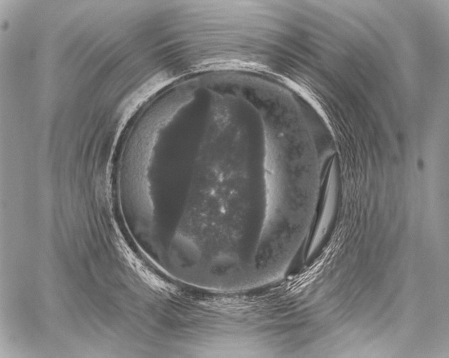 X0000059240995200510171426