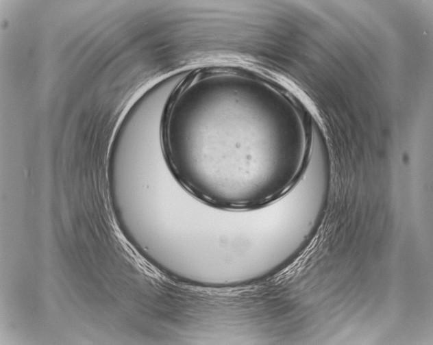 X0000059240996200510171426