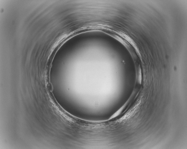 X0000059240997200510171426