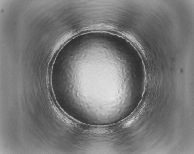 X0000059240998200510171426