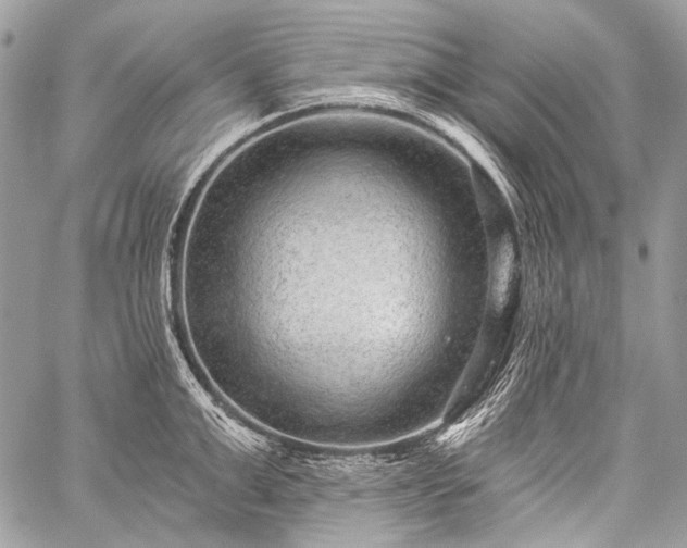 X0000059240999200510171426