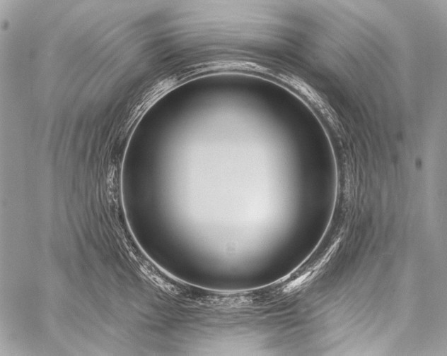 X0000059241001200510171426