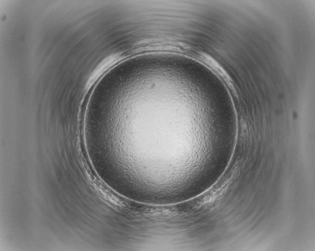 X0000059241002200510171426