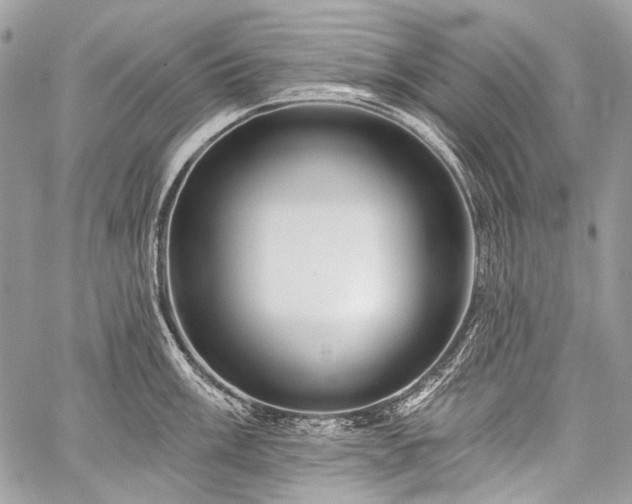 X0000059241003200510171426