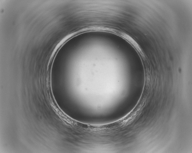 X0000059241004200510171426