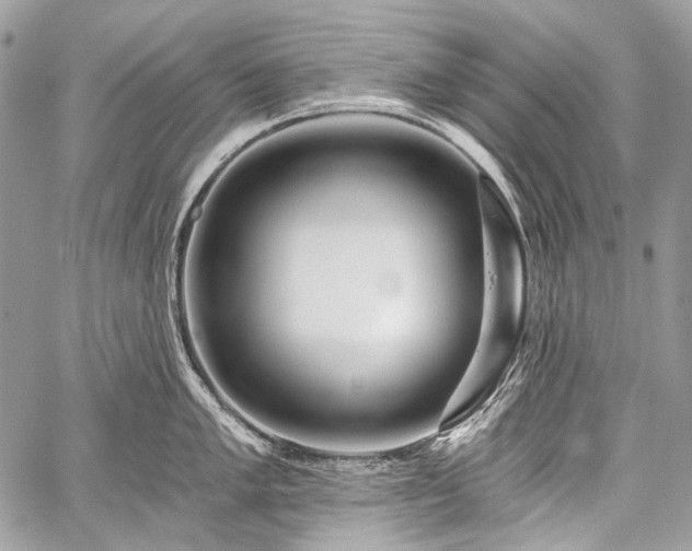 X0000059241005200510171426