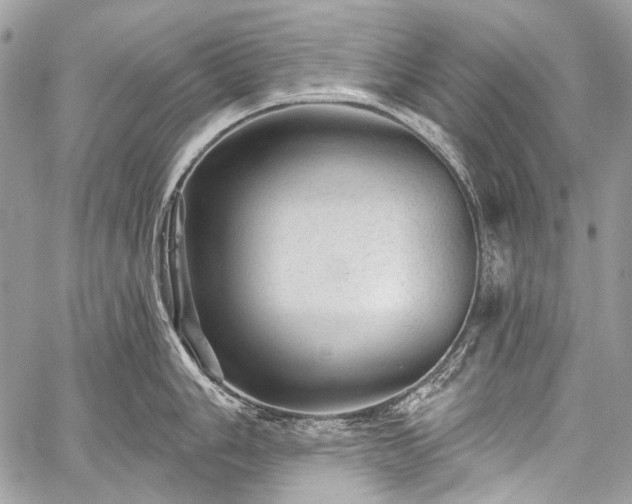 X0000059241006200510171426