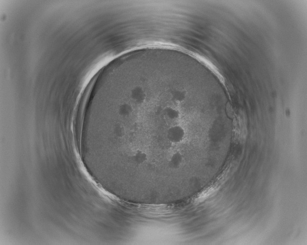 X0000059241007200510171426