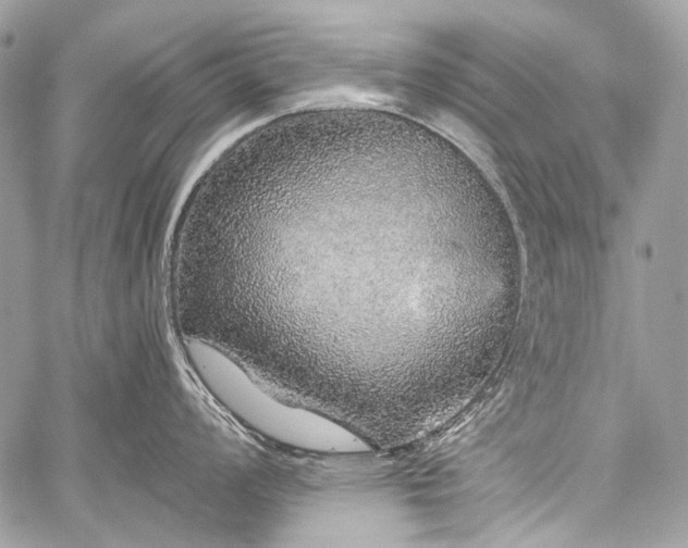 X0000059241008200510171426