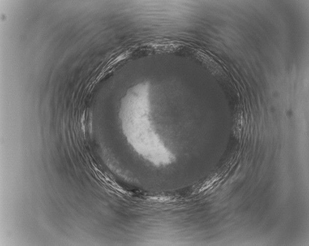 X0000059241010200510171425