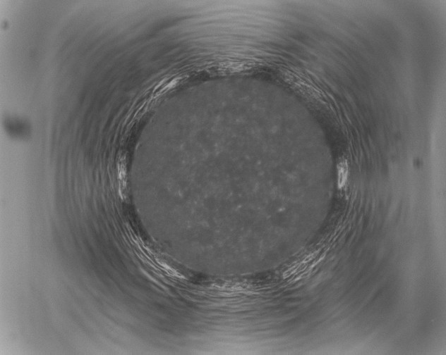 X0000059241011200510171425