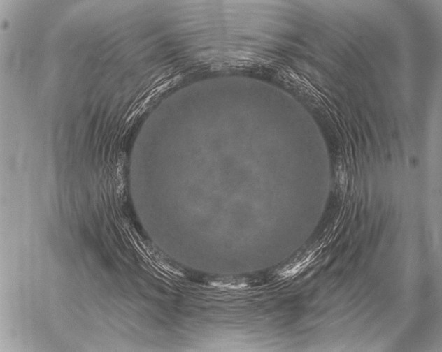 X0000059241012200510171425