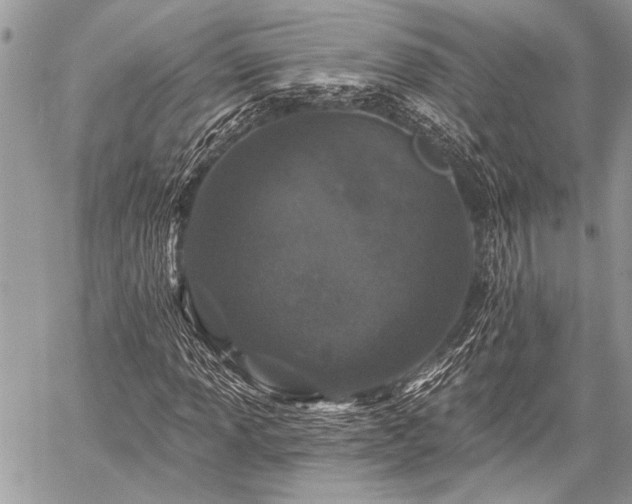 X0000059241013200510171425