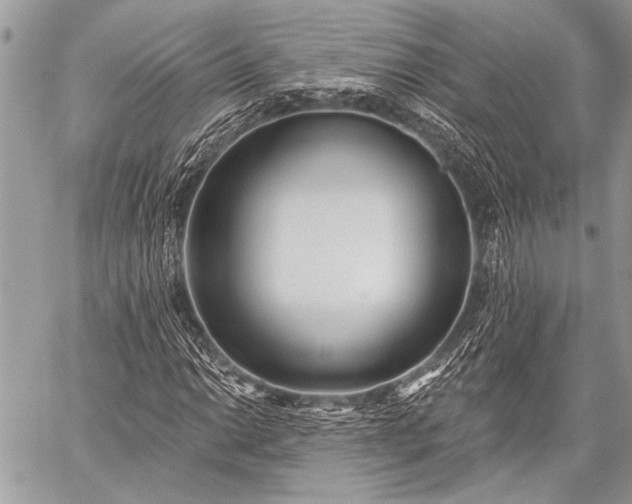 X0000059241014200510171425