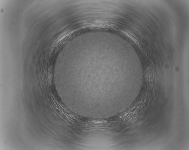 X0000059241015200510171425