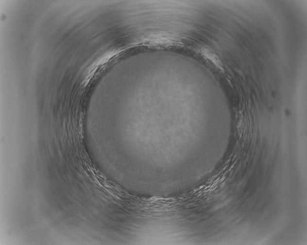 X0000059241016200510171425