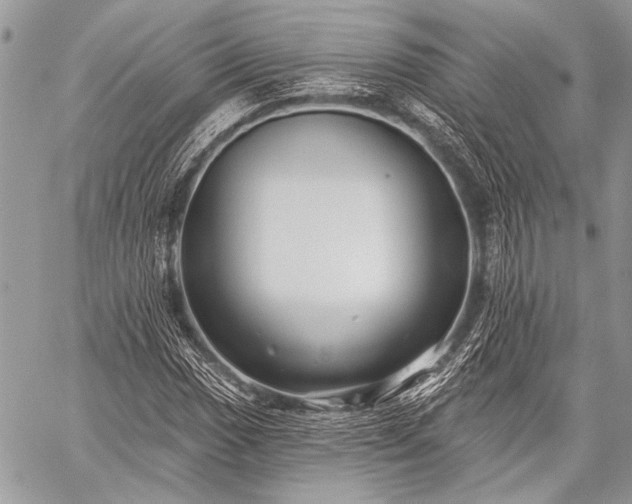 X0000059241017200510171425