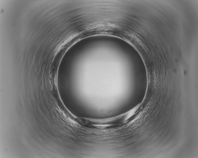 X0000059241018200510171425