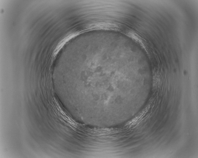 X0000059241019200510171425