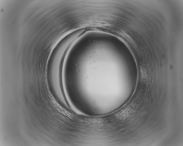 X0000059241020200510171426