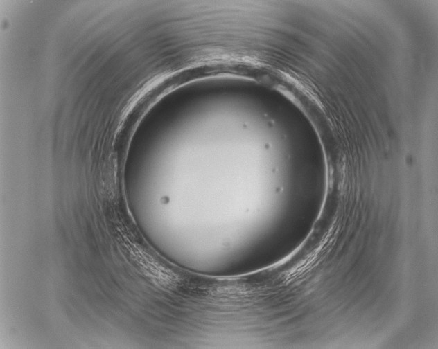 X0000059241021200510171426