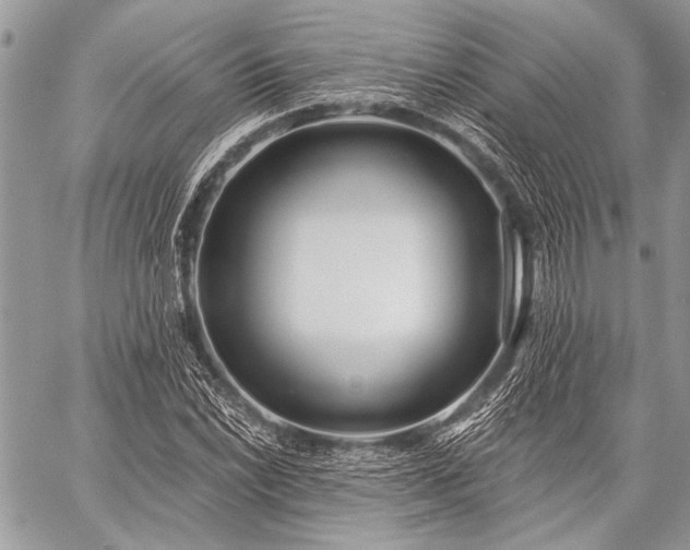 X0000059241022200510171426